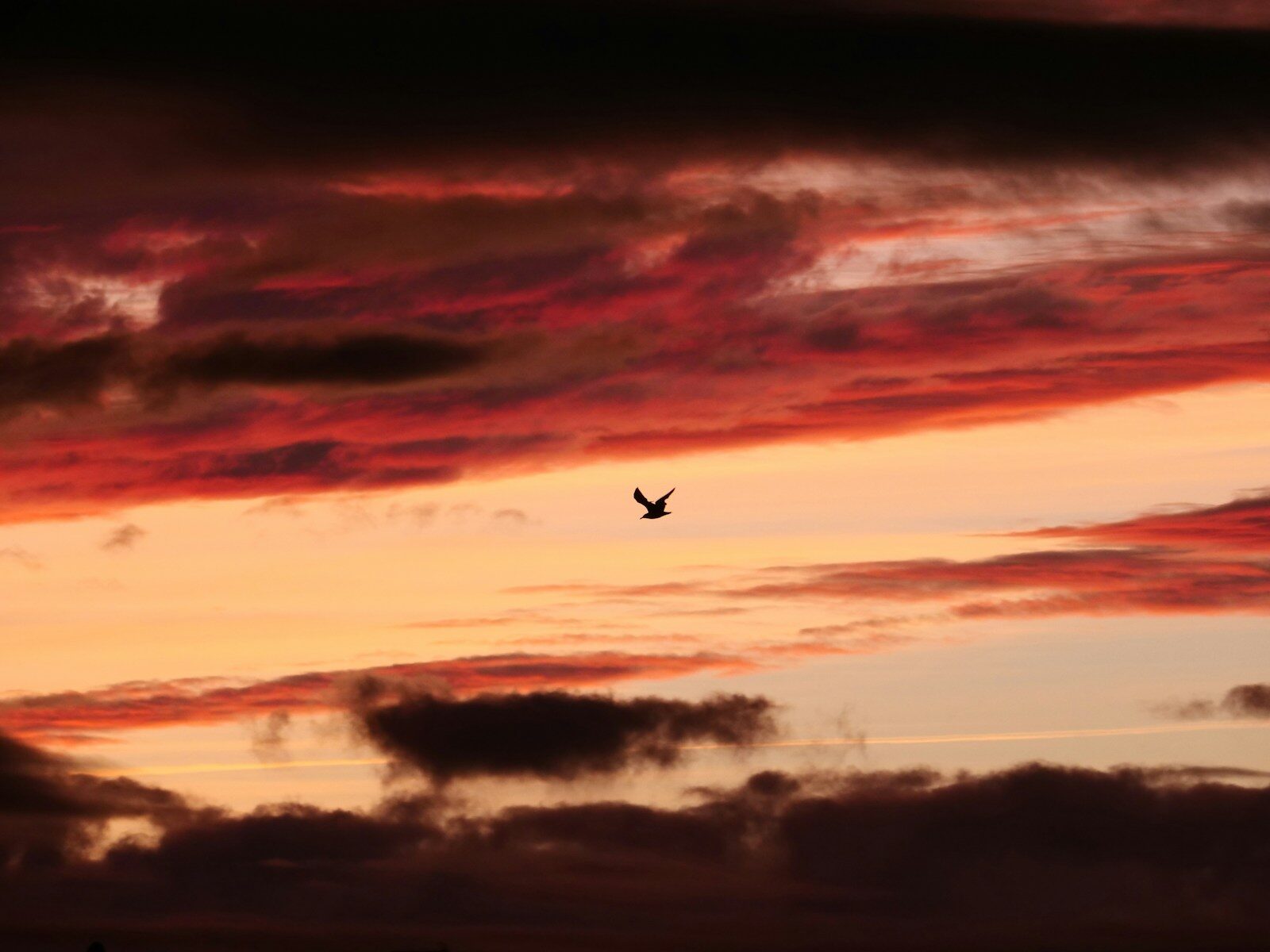 Legal Criteria for Capacity to Marry